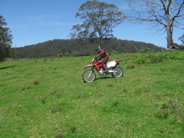 SDC10737.jpg