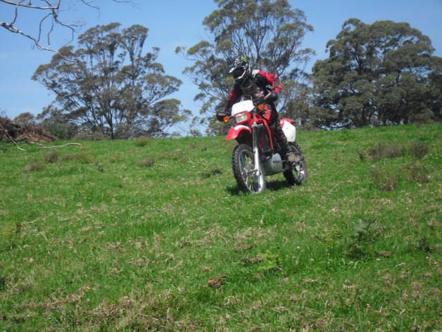 SDC10739.jpg