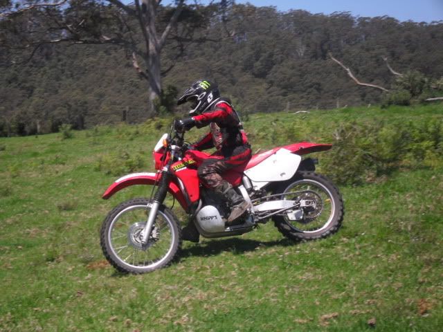 SDC10740.jpg