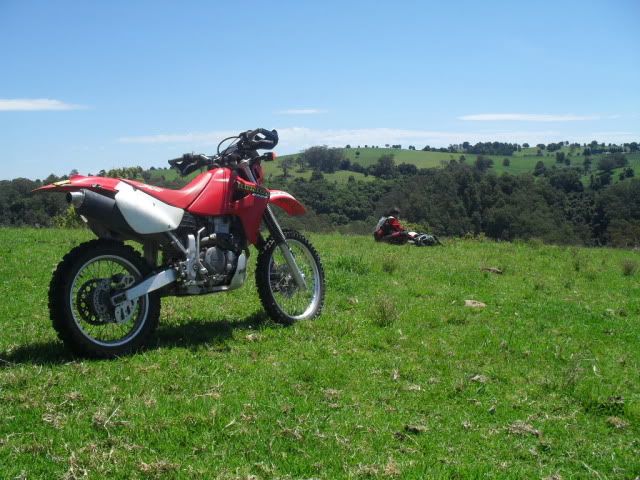 SDC10741.jpg
