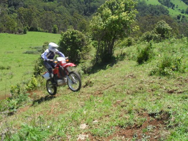 SDC10744.jpg
