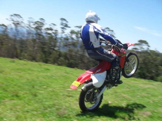 SDC10746.jpg