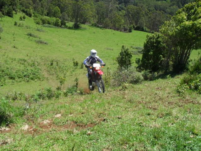 SDC10747.jpg