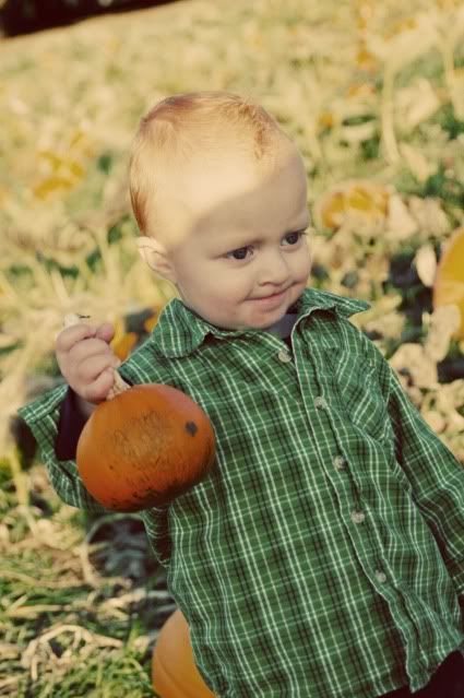 Pumpkin Patch 2009