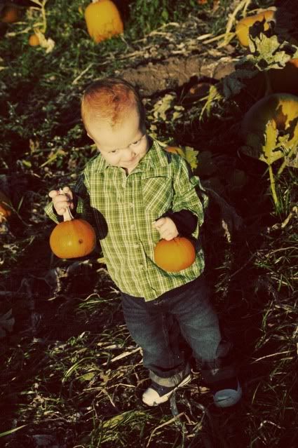 Pumpkin Patch 2009