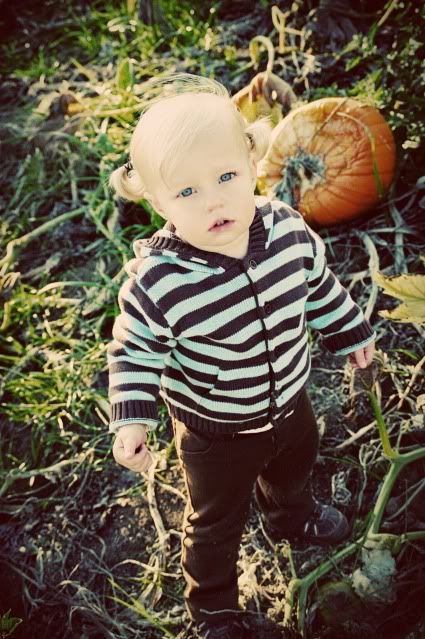 Pumpkin Patch 2009