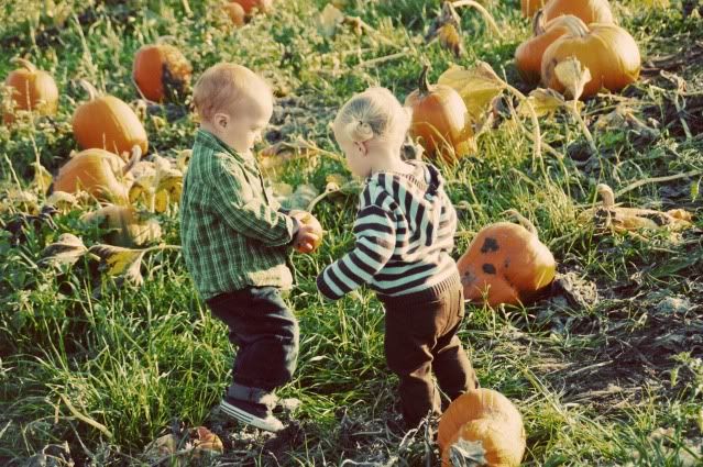 Pumpkin Patch 2009