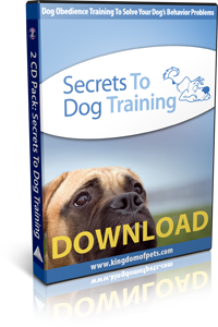 dog-training photo:dog training club of chester county 