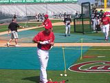 therick1.jpg Ankiel image by qwikimport