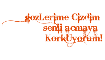 01-31.gif