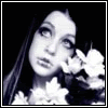 02-42.gif