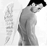 09-20.gif