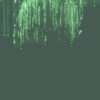 11-20.gif