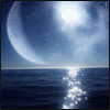 13-11.gif