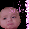 55.gif