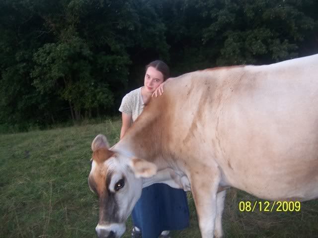 Shipping Out (pics) - Cattle