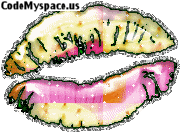 Lips Comment
