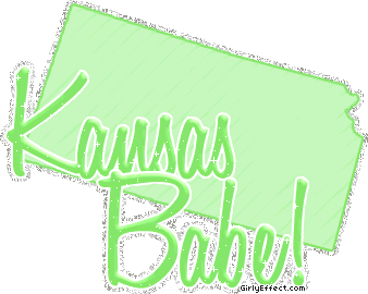 KANASAS Comment