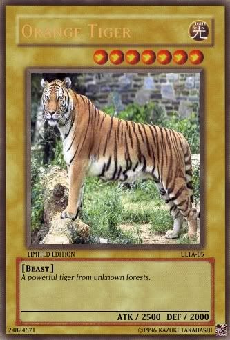 orangetiger.jpg