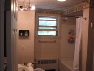 bathroom remodel