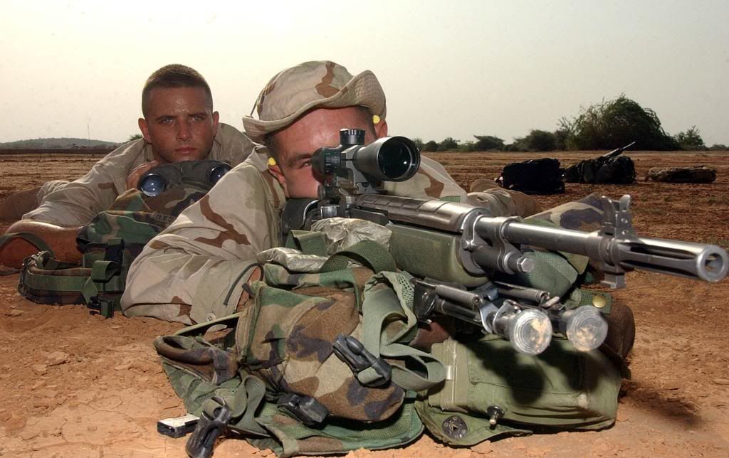 rifles rifles