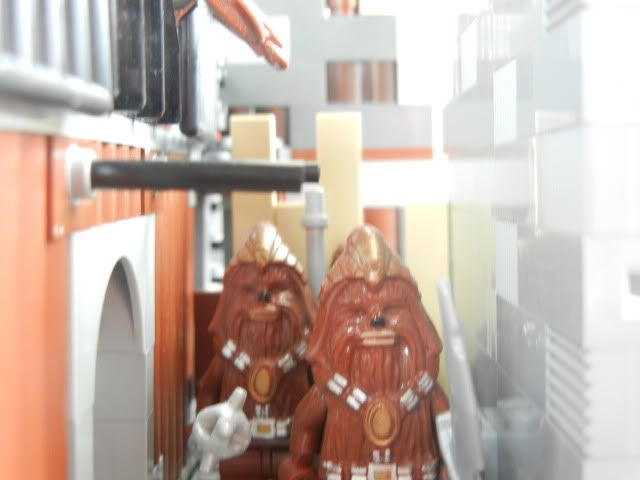 DSCN2067.jpg