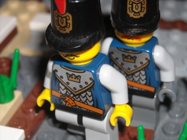 DSCN0184.jpg