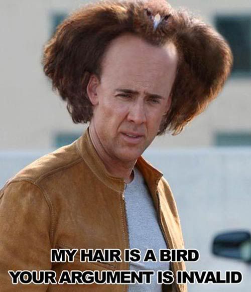 nic-cage-birdhair.jpg