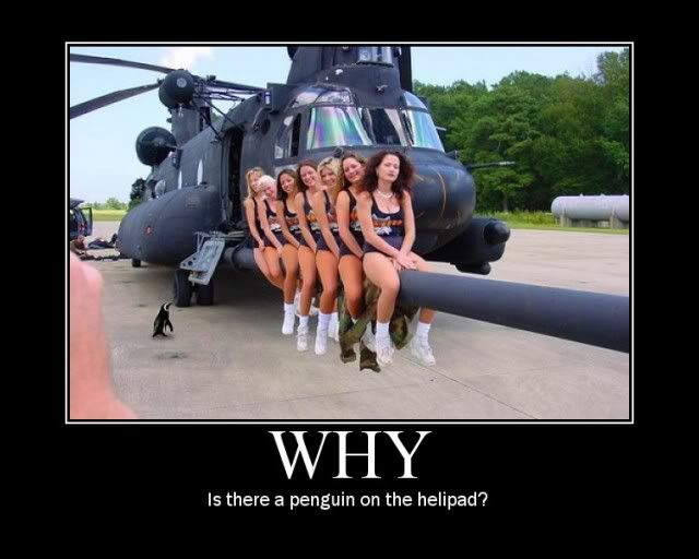 why-is-there-a-penguin-on-the-helipad1.jpg