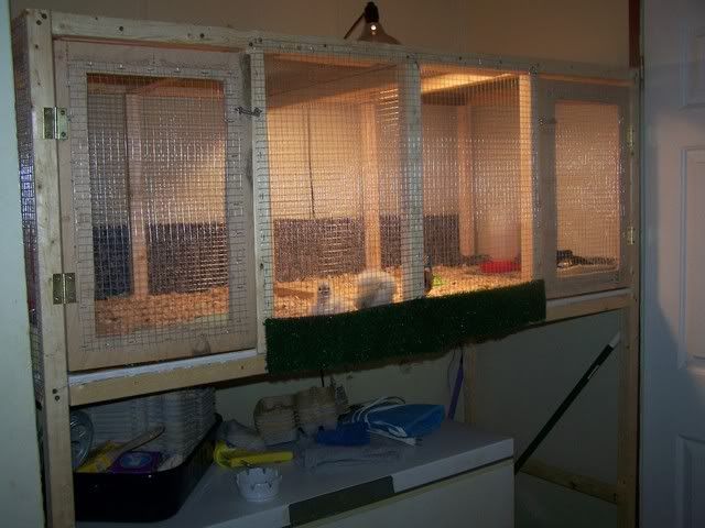 Homemade Chick Brooder Plans