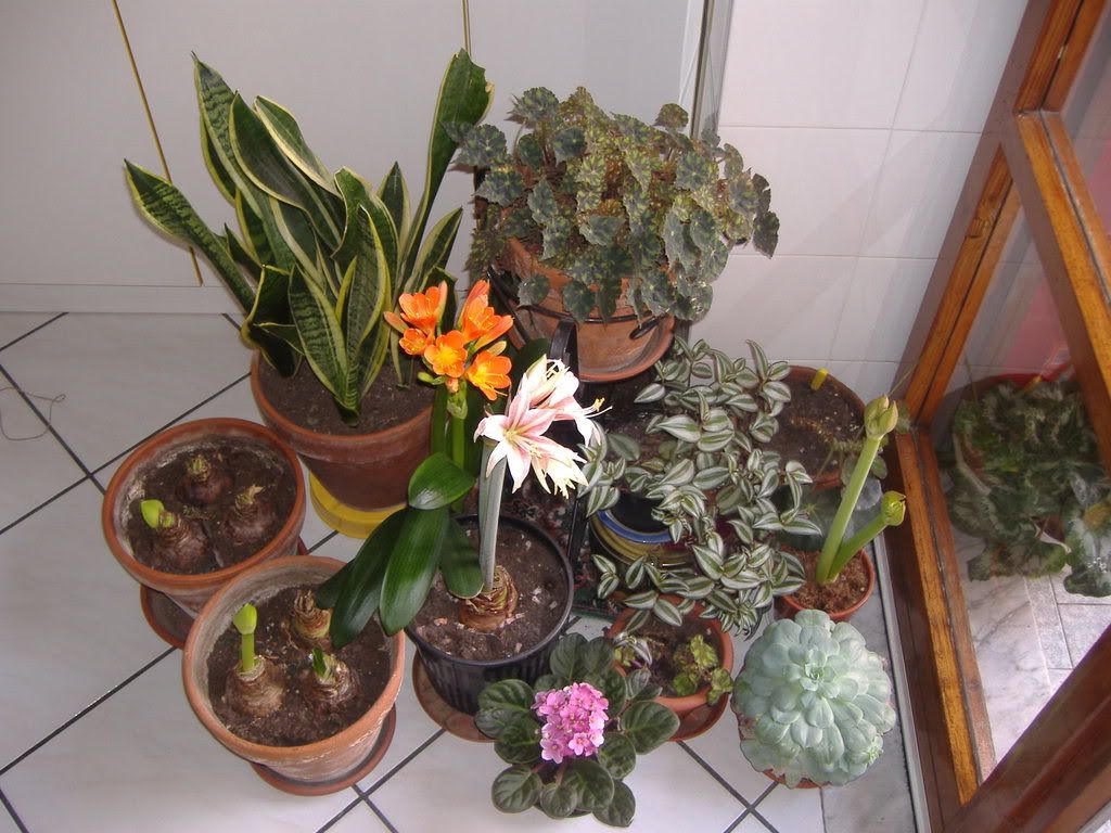 DSCF4224.jpg