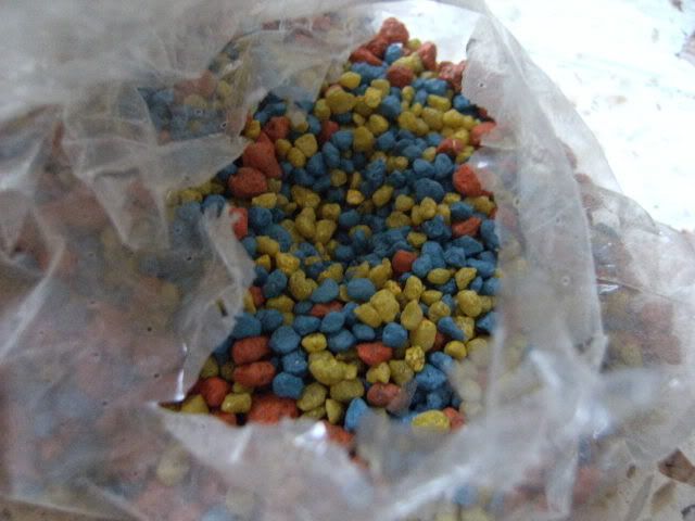 DSCF6617.jpg