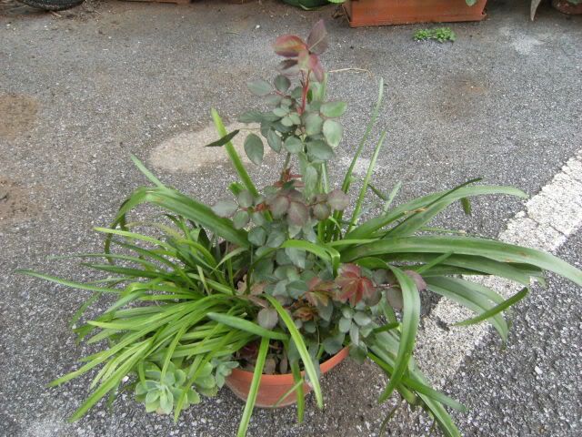 DSCF6922.jpg