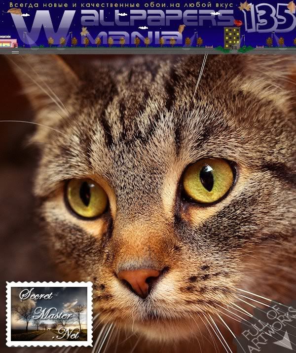 Wallpapers Mania No 135 Wallpapers Mania No 135
