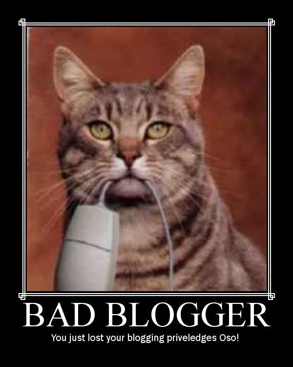 bad blogger Pictures, Images and Photos