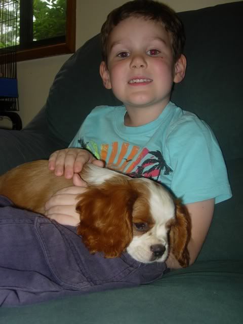 DSCN0007.jpg