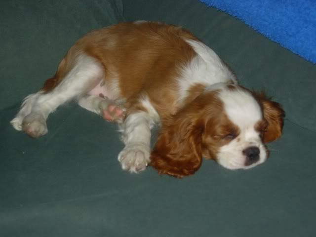 DSCN0012.jpg