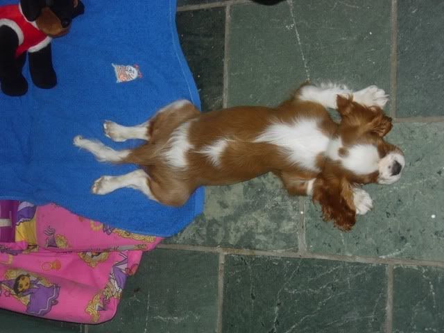 DSCN0024.jpg