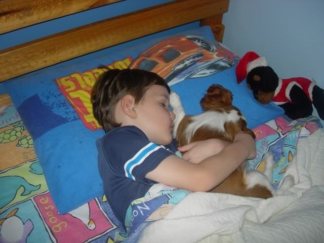 DSCN0026.jpg