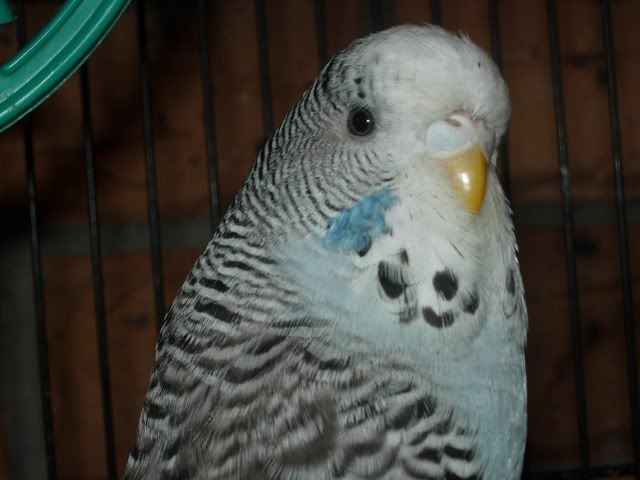 DSCN0277.jpg