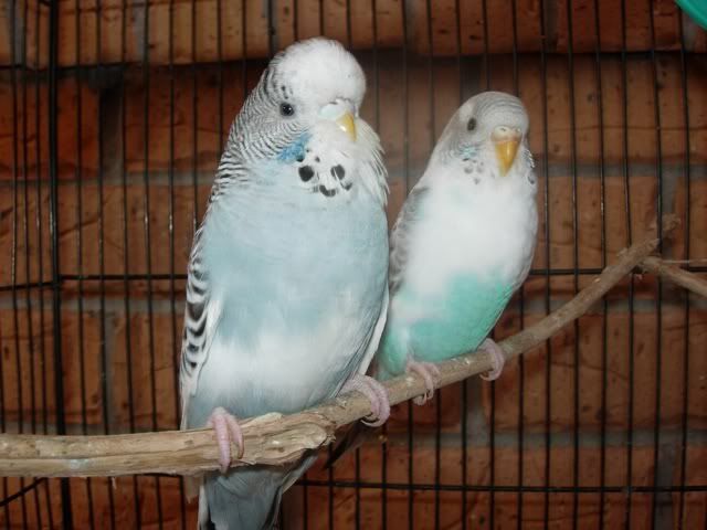 DSCN0282.jpg