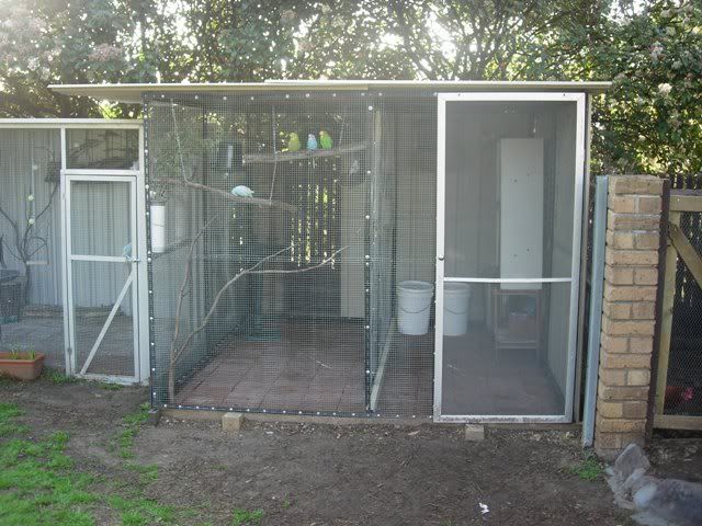 DSCN0331.jpg