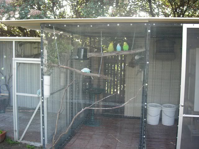DSCN0332.jpg