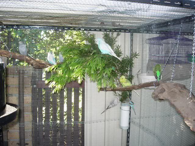 DSCN0335.jpg