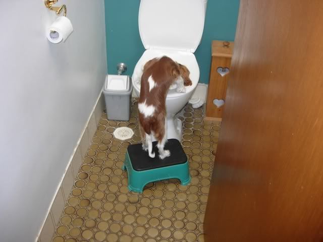 DSCN0378.jpg
