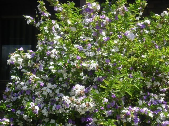DSCN0397.jpg