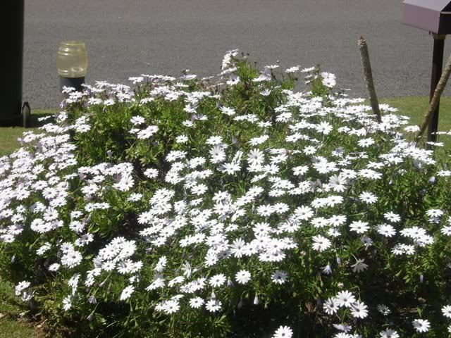 DSCN0398.jpg