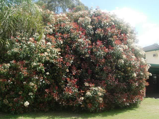 DSCN0399.jpg