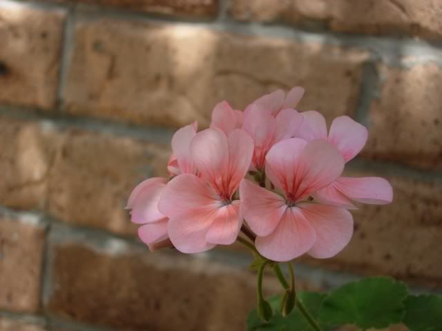 DSCN0401.jpg