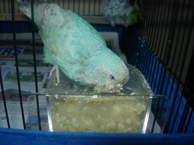 DSCN0455.jpg